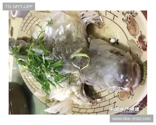 博鱼综合app最新优惠活动信息及时掌握享受更多专属福利